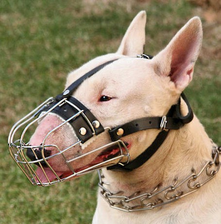 bull-terrier-wire-muzzle-basket-dog-muzzle-bt_LRG